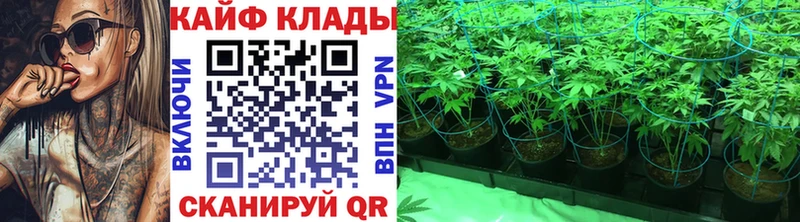 Где продают наркотики Барнаул ГАШИШ A-PVP Меф мяу мяу Вейп ТГК Cocaine