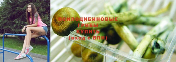 индика Алексин