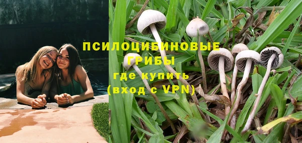 PSILOCYBIN Абаза