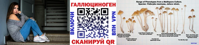 Псилоцибиновые грибы Magic Shrooms  OMG   Барнаул  купить  